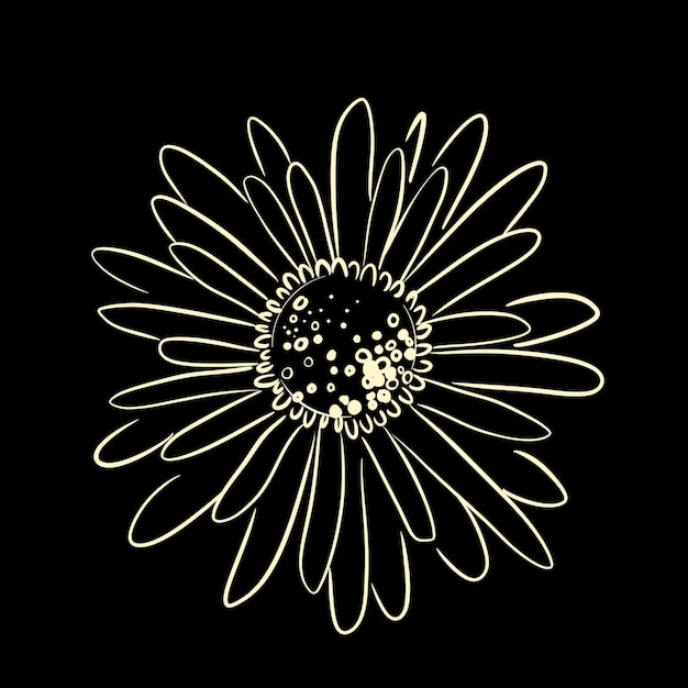 Daisy flower light yellow sketch illustration
