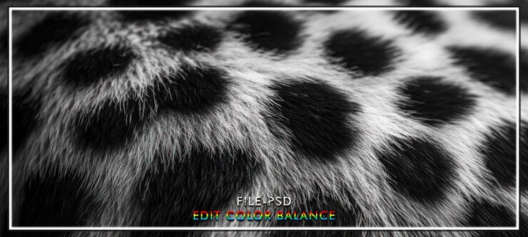 PSD dalmatian fur texture closeup