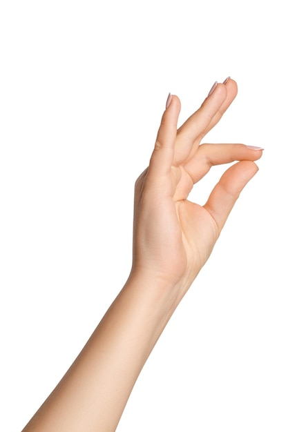 Dames hand op lege achtergrond