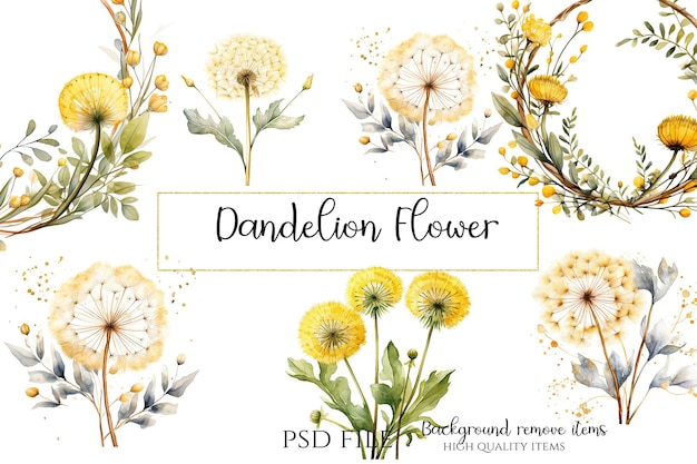 Dandelion Flower Clipart