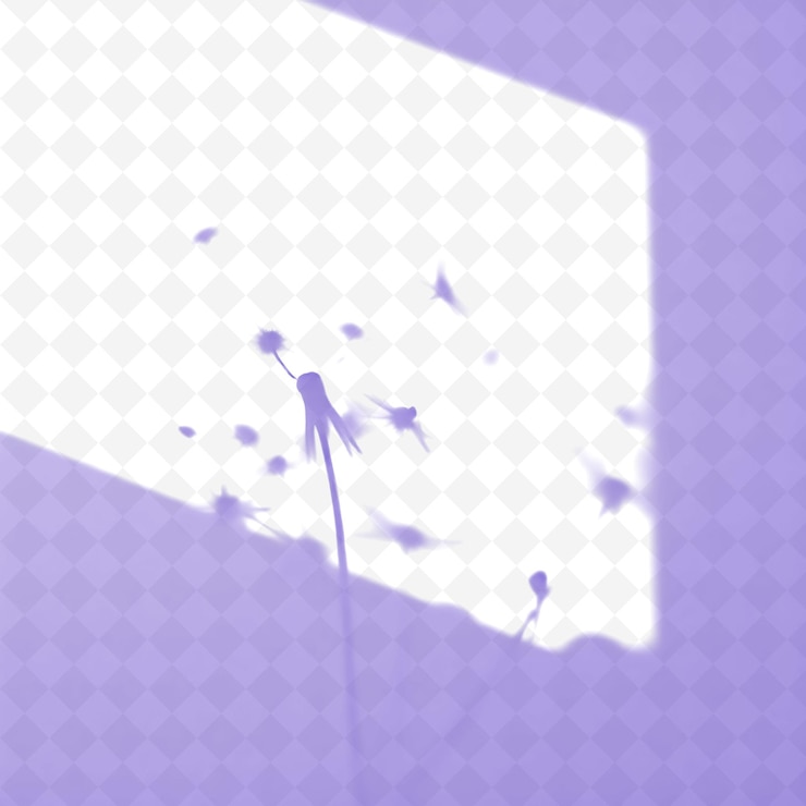 PSD dandelion seed shadows tiny delicate shadows scatter lightly across surfaces wispy edges
