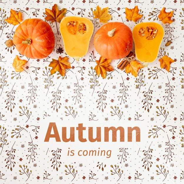 De herfst komt eraan concept met helften van pompoen