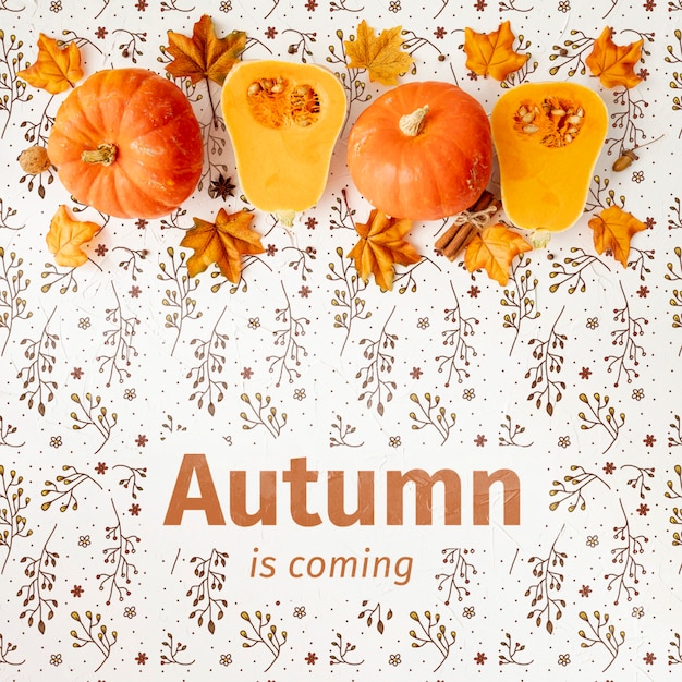 PSD de herfst komt eraan concept met helften van pompoen