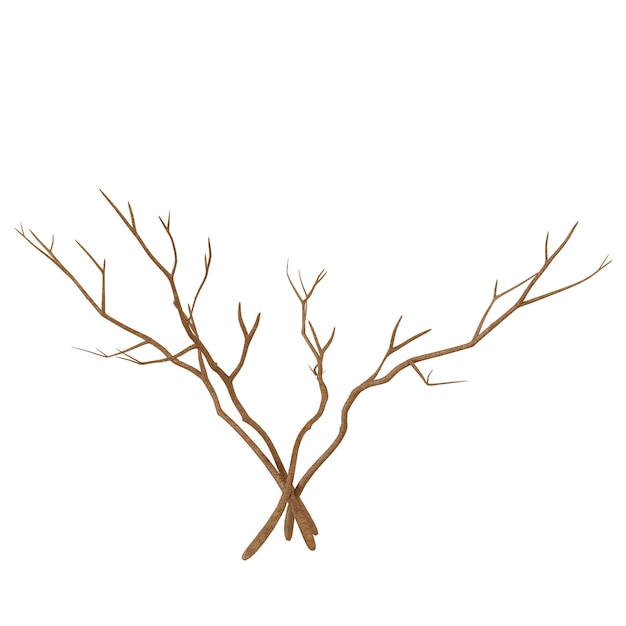 De illustratie van de kale takken