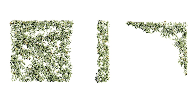 PSD de letter i is in de vorm van een bloem.