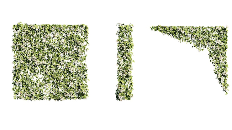 PSD de letter l is in het groene gras.
