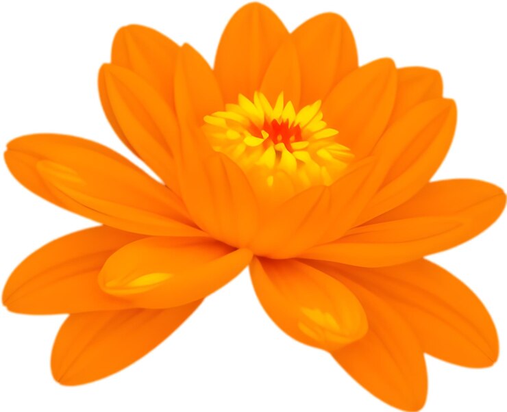 De levendige dahlia-bloesems stralen vrolijke tuincharme uit