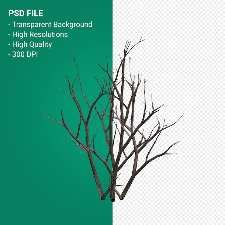 PSD dead plant 3d render isolated