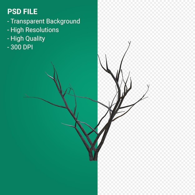 PSD dead plant 3d rendering isolato