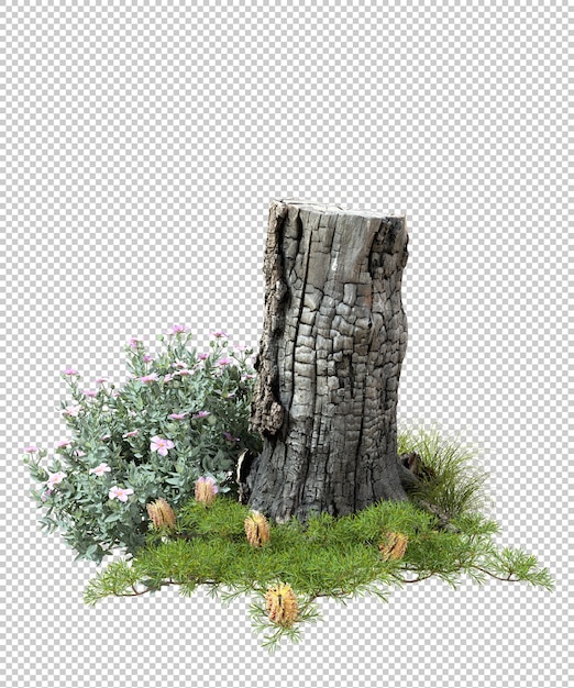 Dead stub hardwood on grass landscape transparent backgrounds 3d rendering