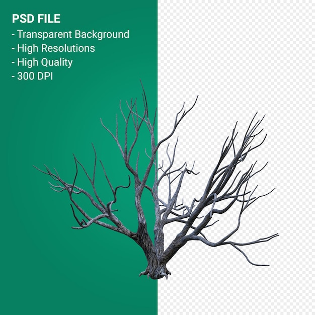 Dead Tree 3d render isolated