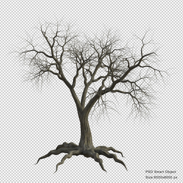 PSD dead tree isolated 3d render