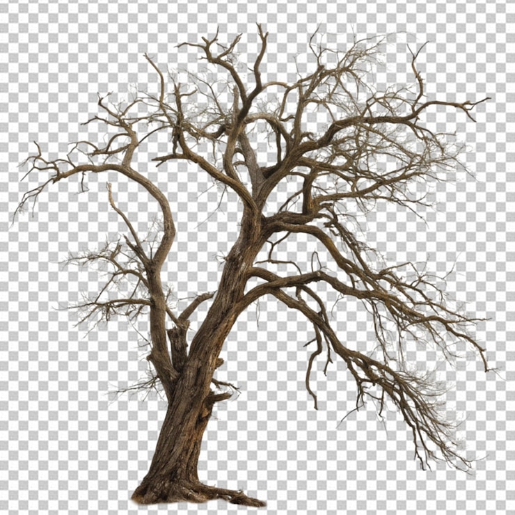 PSD dead tree on transparent background