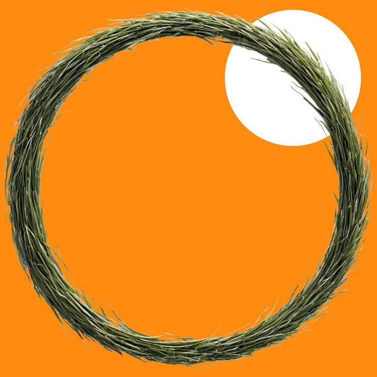 PSD declarative grass circle