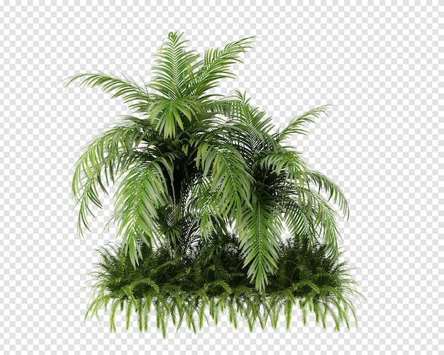 Decor plant in 3d rendering isolated