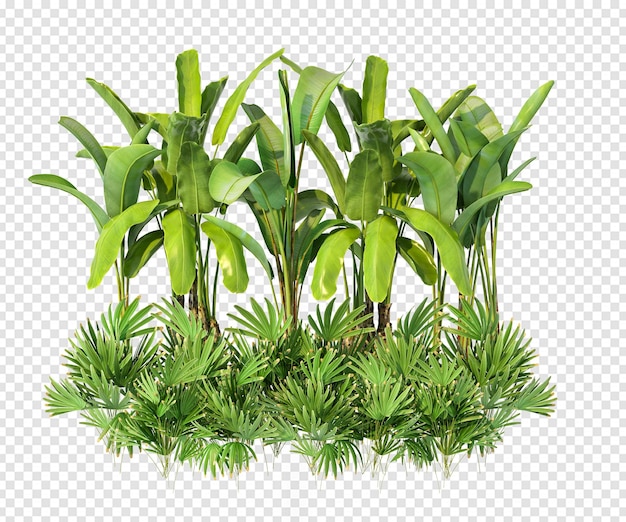 PSD decor plant in 3d rendering isolated