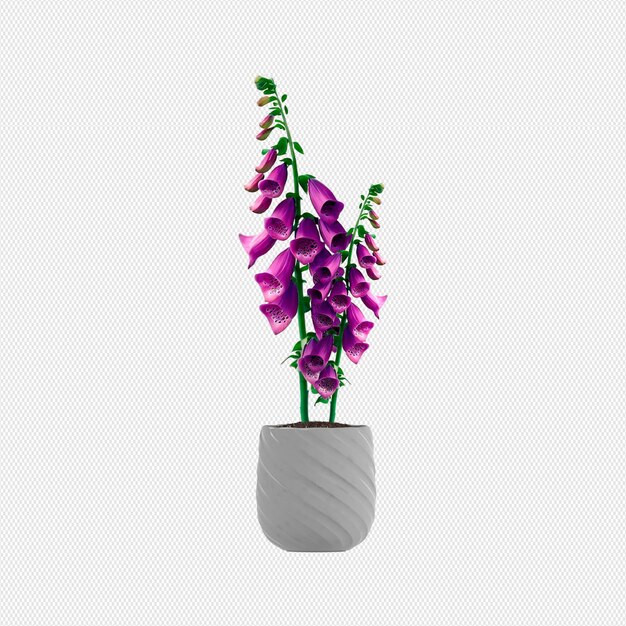 PSD decoraive plants