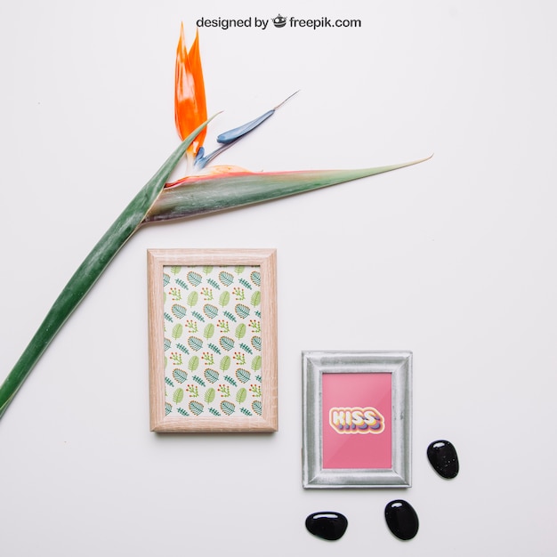 Decorative botanical mockup with two frames