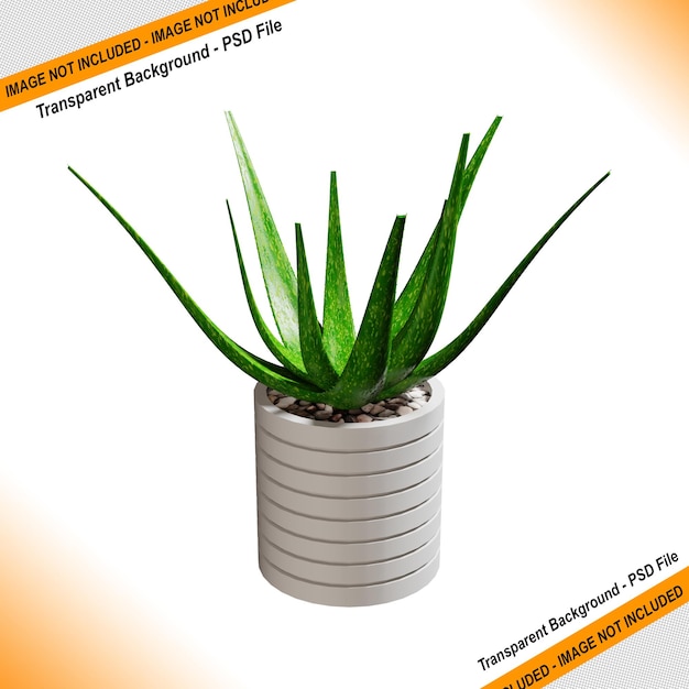 PSD 가구 요구에 대한 장식 식물 디자인 3d 렌더링