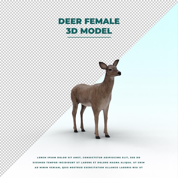 Deer female