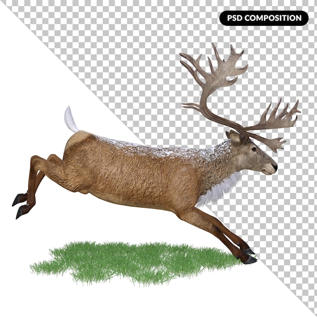 PSD animale cervo rosso cervo isolato 3d