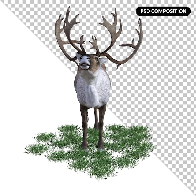 PSD deer stag isolated 3d