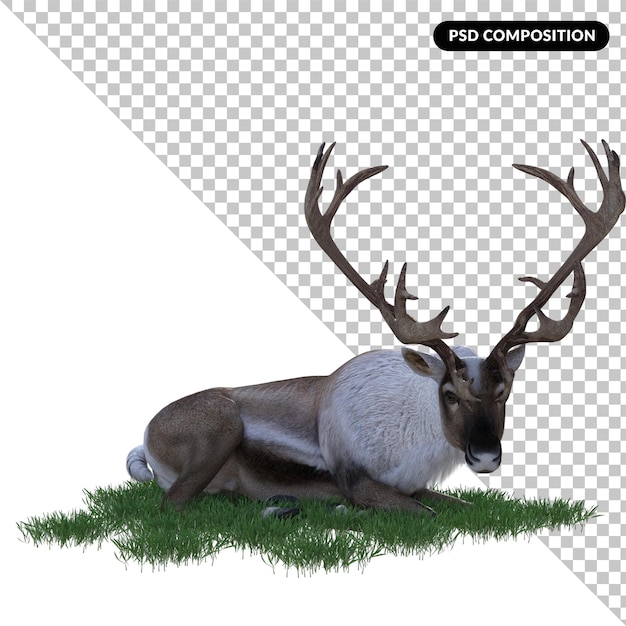 PSD deer stag isolated 3d