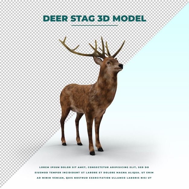 Deer stag isolated