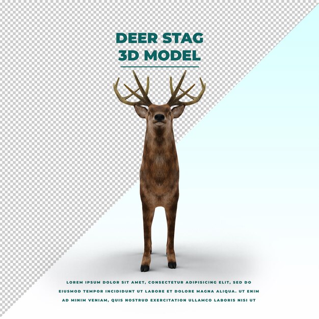 Deer stag isolated