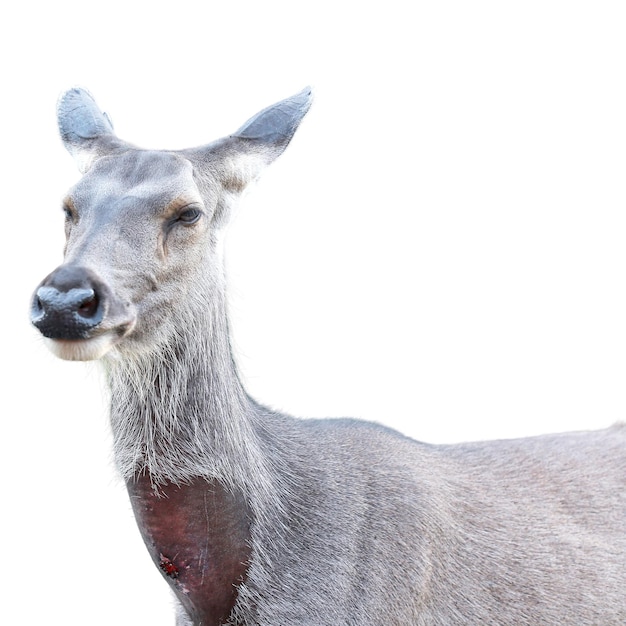  바탕 에 있는 사