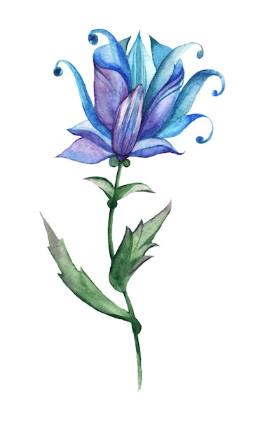 A delicate blue flower with thin petals and a bright vibrant color watercolor hand made
