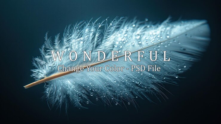 PSD delicate feather with water drops