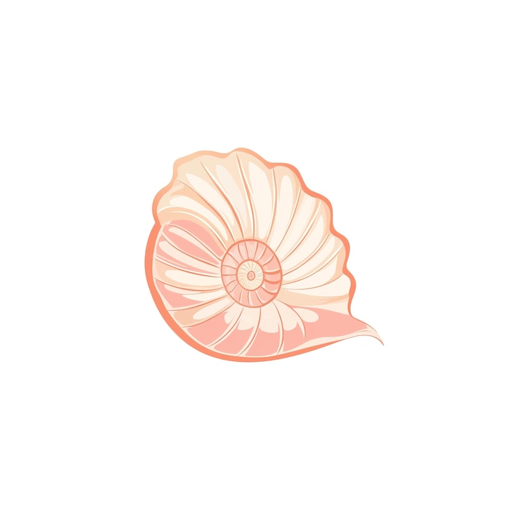 PSD delicate peach seashell illustration nautical nature design element