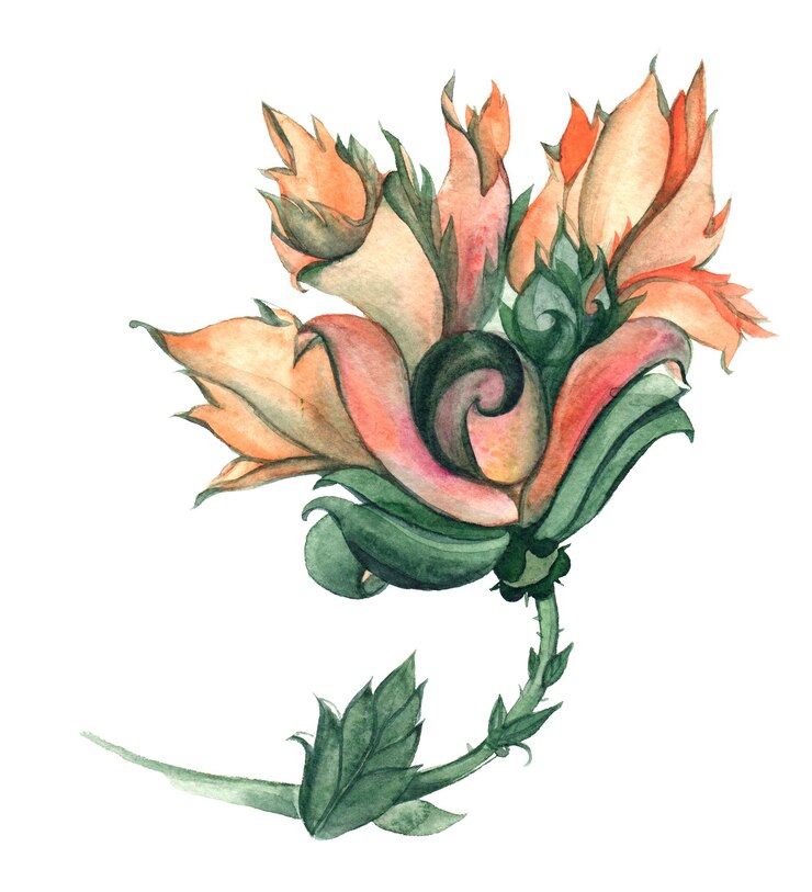 PSD delicate watercolor painted fictional flower with soft large orange bud with curl in the center