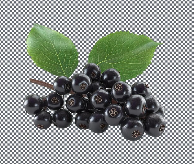 PSD delicious en mouthwatering black elderberry geïsoleerd op transparante achtergrond