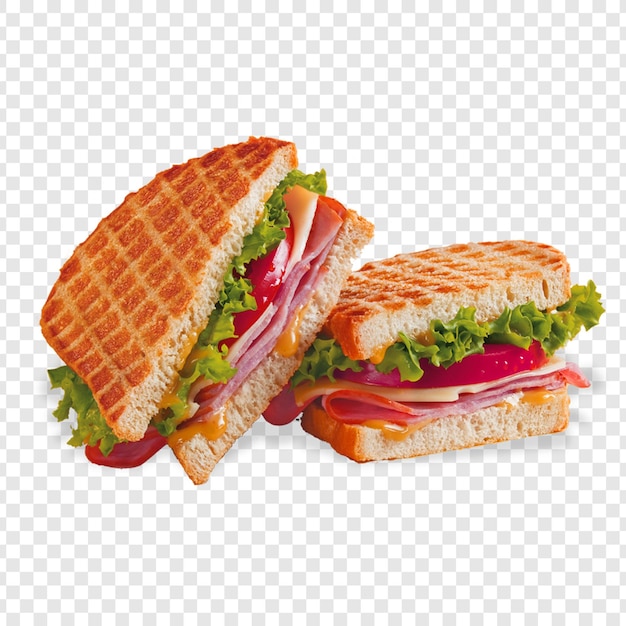 美味しいファストフードバーガーアンプピザ PNG 高品質透明画像 ストックと商業用