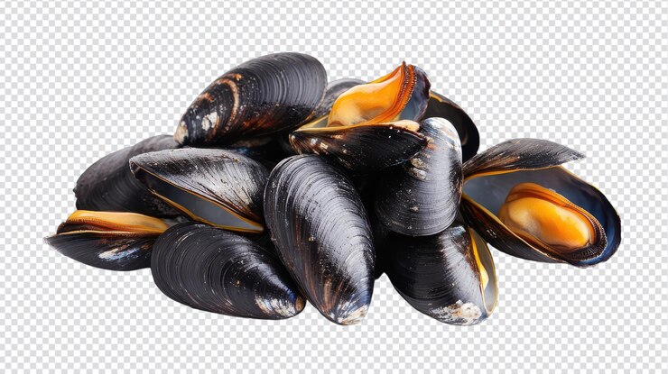 PSD delicious fresh mussels isolated on transparent background ideal for culinary and restaurant themes