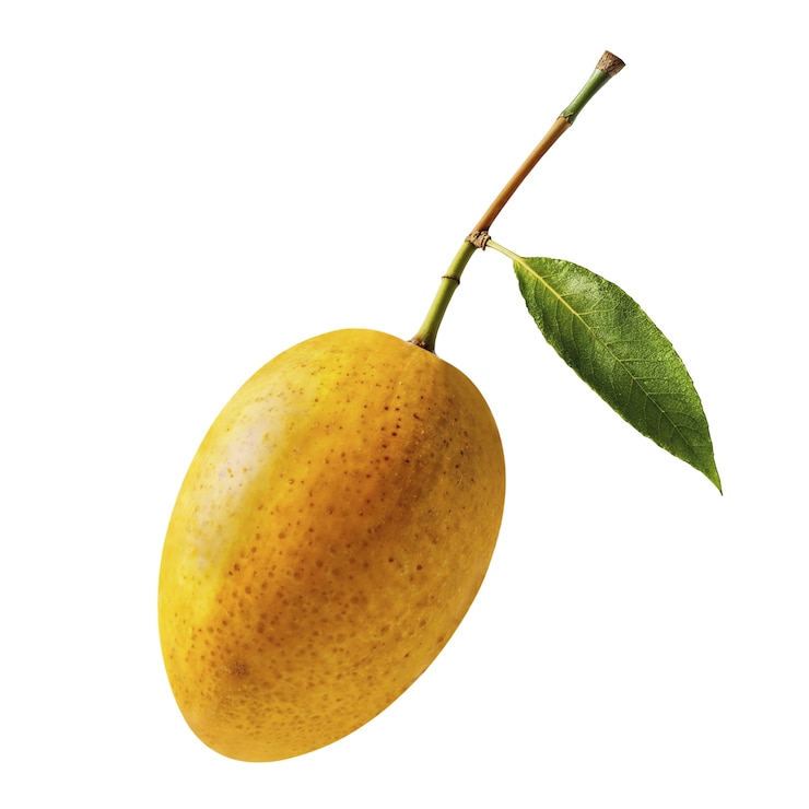 PSD delicious mango in studio