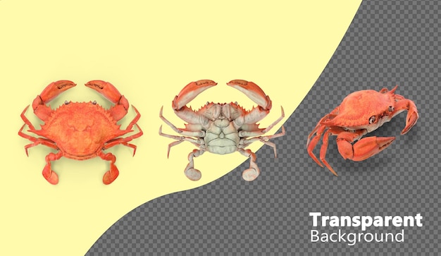 PSD delicious orange crab isolated on a transparent background