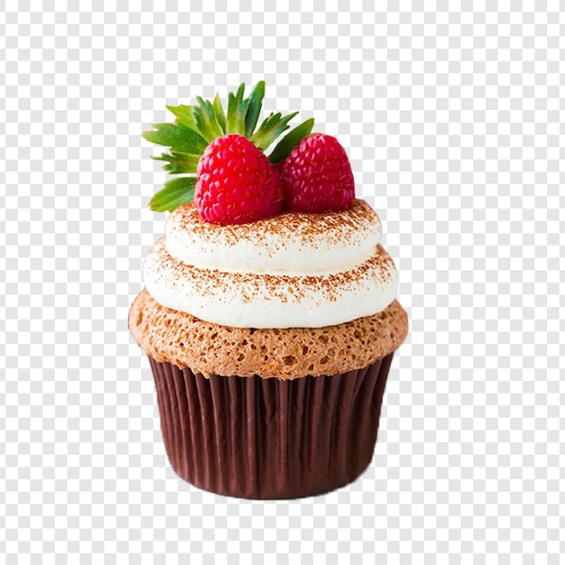 delicious raspberry cupcake with cream and sprinkles