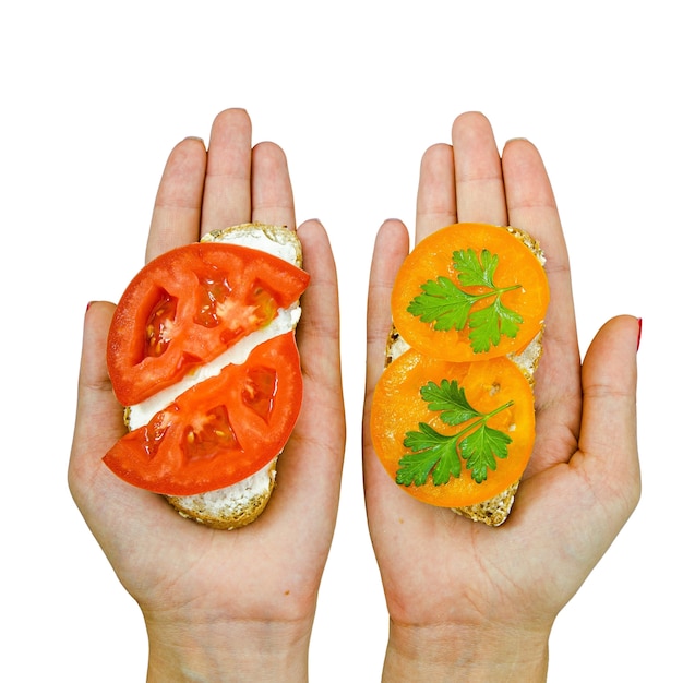 Delicious sandwiches held in hand