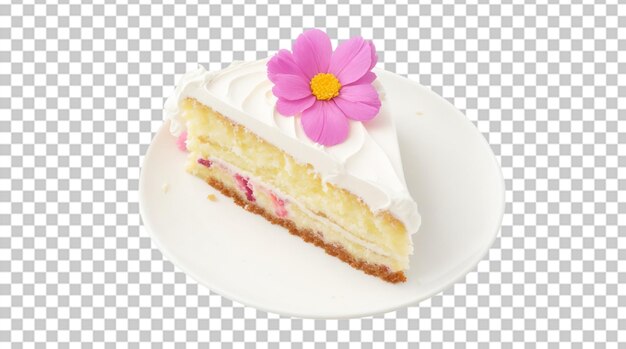 Delicious slice of birthday cake on a transparent background