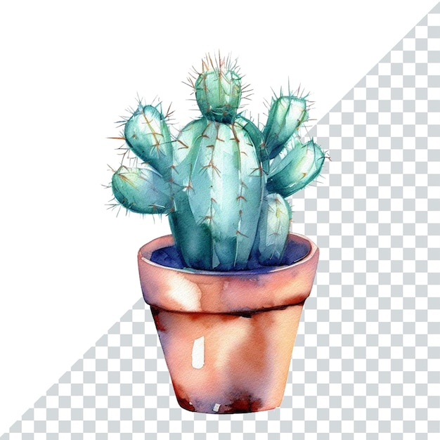 Desert Gems Watercolor Illustration of Isolated Succulent and Potted Cactus