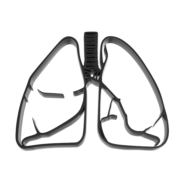 Detailed 3D Lungs Icon for Medical Illustration Human Respiratory System Lungs Health Concept