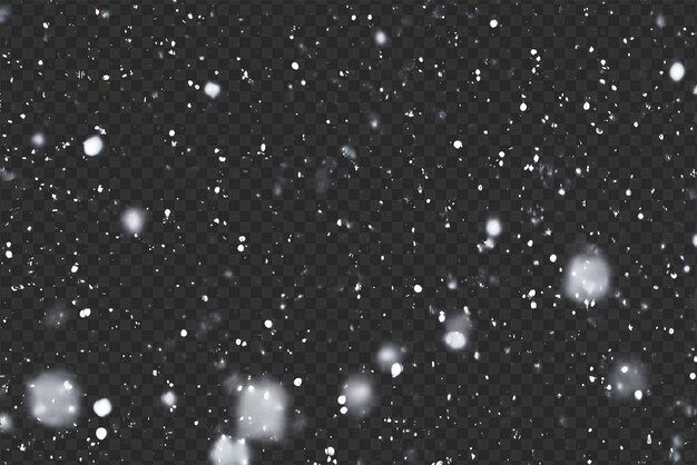 detailed snowfall overlay isolated on transparent background perfect for dynamic visual effects