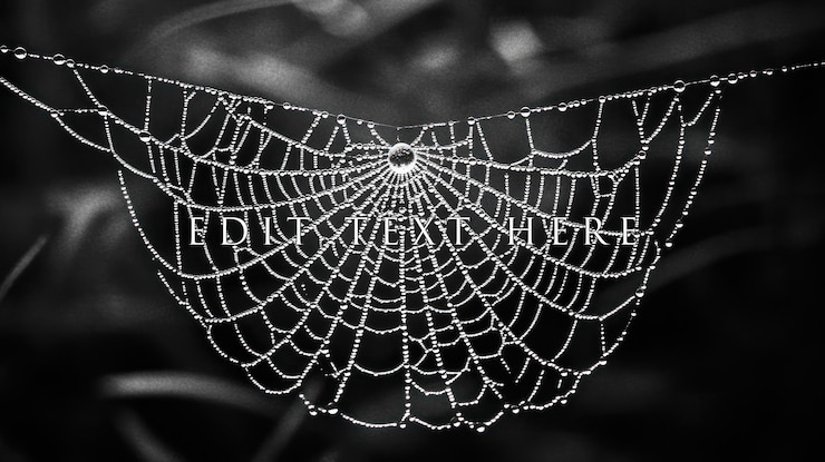 PSD dewcovered spiderweb in monochrome intricate details visible