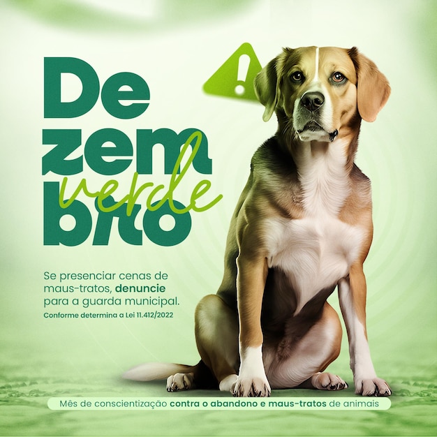 PSD dezembro verde green december alerta sobre maustratos e abandono de animais