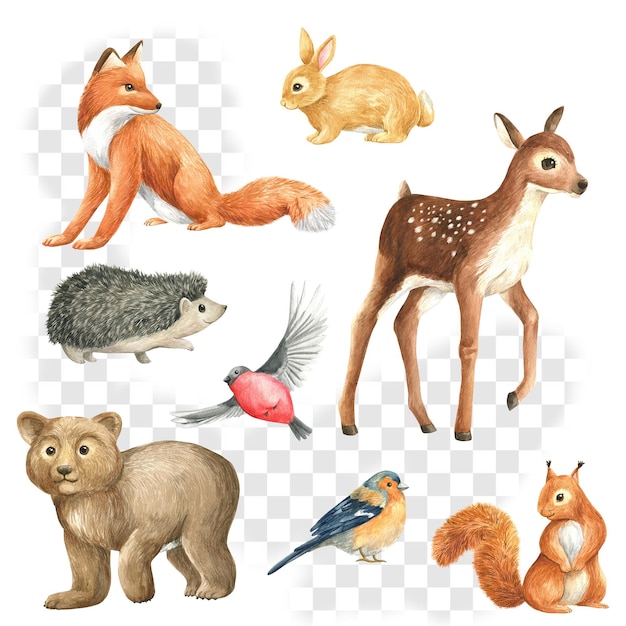 Dieren wild bos aquarel set illustratie geïsoleerd vos eekhoorn herten haas vogel egel psd