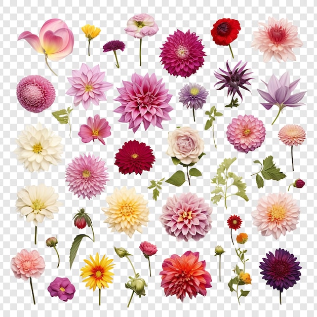 PSD different types of flowers craft isolated on transparent background