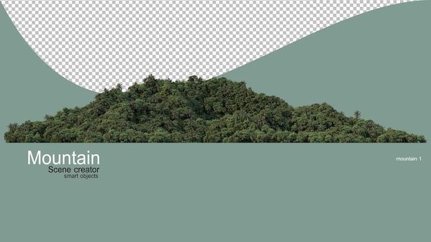 다양한 종류의 산